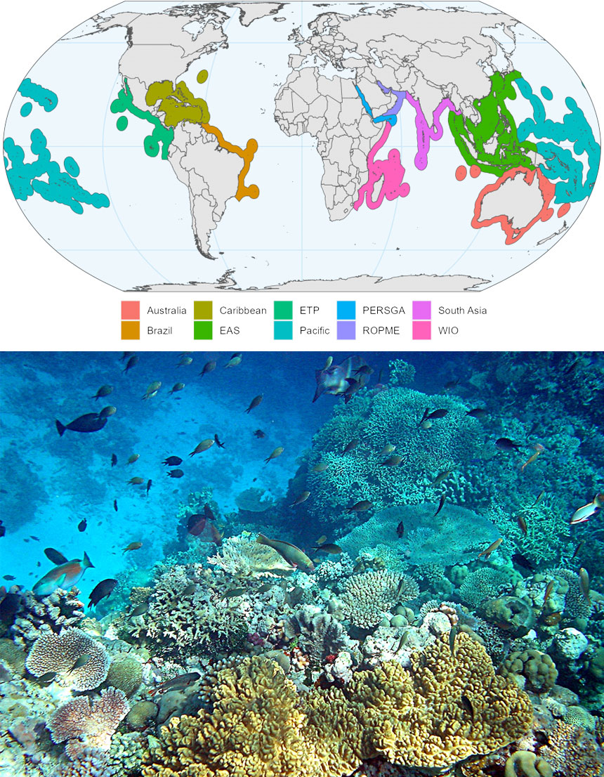 Coral Reefs Around The World